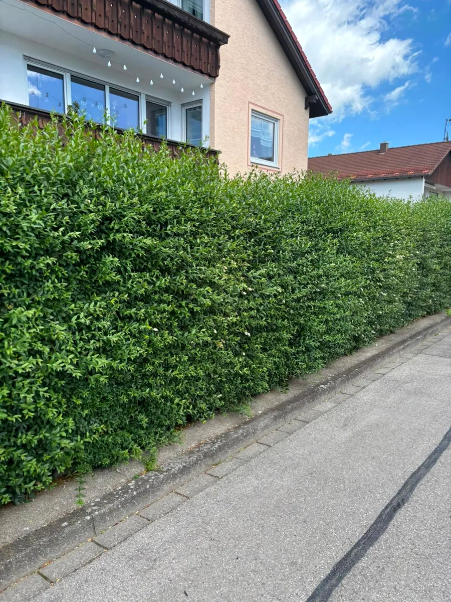 Originalfoto unserer Arbeiten 18