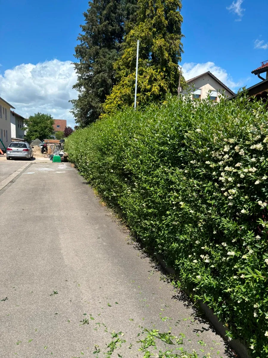 Originalfoto unserer Arbeiten 19