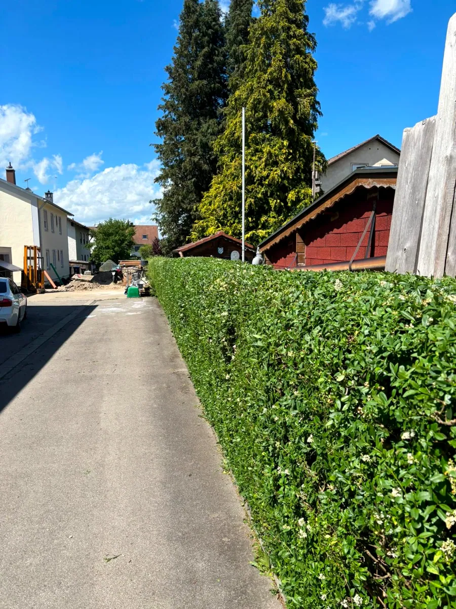 Heckenpflege